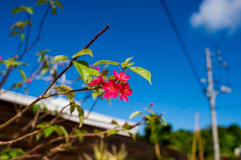 United Resort Yomitan Okinawa Eksteriør bilde